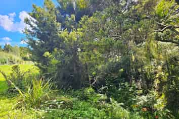 1/ Horeke Road, Kaikohe West