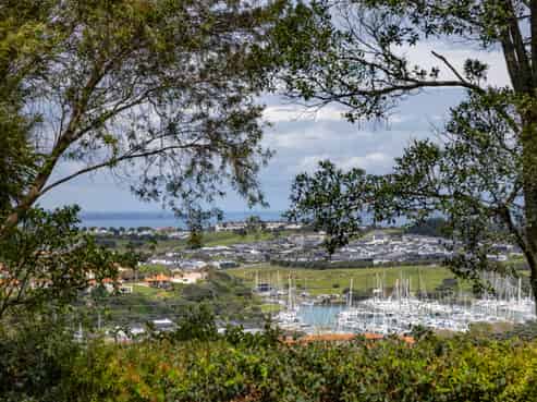 3 Clayden Drive, Gulf Harbour