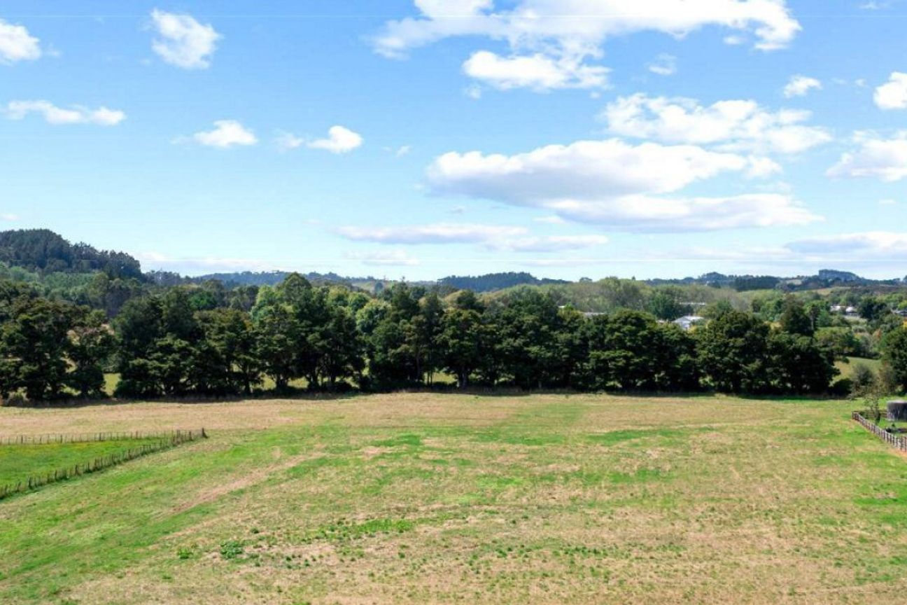 Flat usable land with add-value opportunity - Widok 4