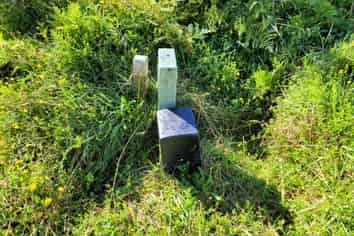 12 Charles Douglas Drive, Franz Josef Glacier