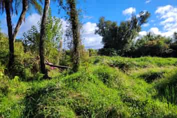 12 Charles Douglas Drive, Franz Josef Glacier