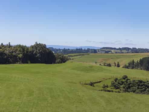 37 Shearer Road, Te Puke