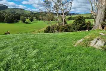 Lot 3 Millbrook Road, Waipu