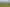 8a Fisher Place, Opotiki and Surrounds