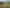 2595C Tiki Road, Coromandel