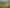 2595C Tiki Road, Coromandel