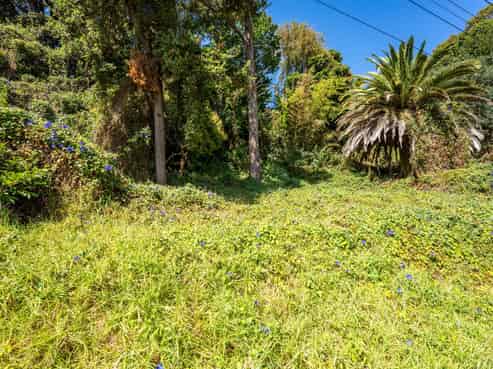 56 Ikitara Road, Whanganui East