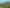 2315 Wyuna Bay Road, Coromandel