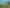 2315 Wyuna Bay Road, Coromandel