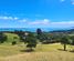 1702 Colville Road, Coromandel, Thames-Coromandel, Coromandel