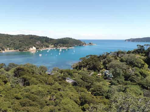 174 Shoal Bay Road, Great Barrier Island (Aotea Island)