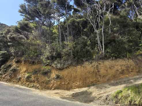 174 Shoal Bay Road, Great Barrier Island (Aotea Island)