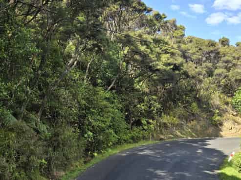 174 Shoal Bay Road, Great Barrier Island (Aotea Island)