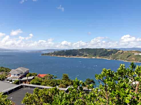 149 Te Anau Road, Hataitai