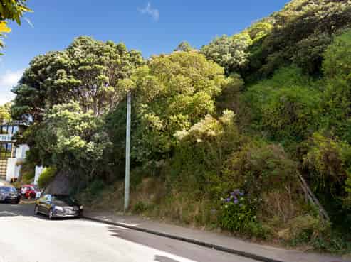 149 Te Anau Road, Hataitai