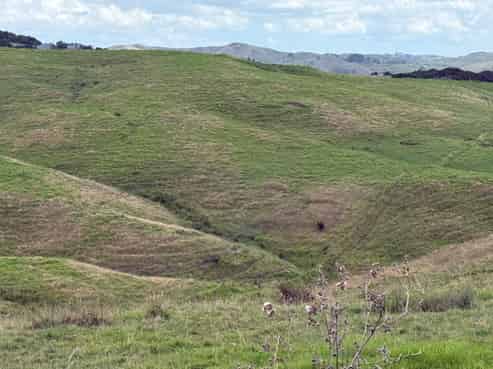 3 Awaroa Creek Rise, Kaiwaka