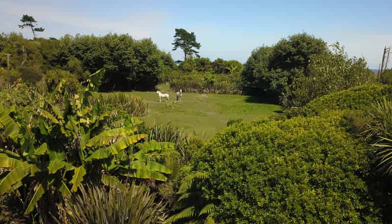 127 Kohaihai Road, Karamea