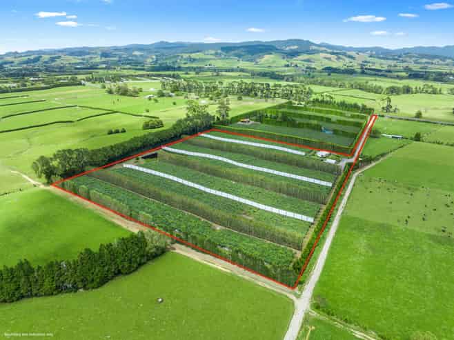 9653 State Highway 2, Waihi