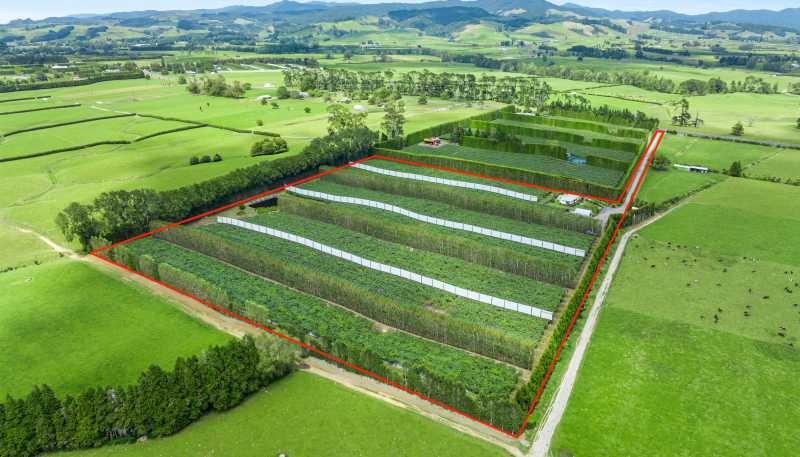 9653 State Highway 2, Waihi