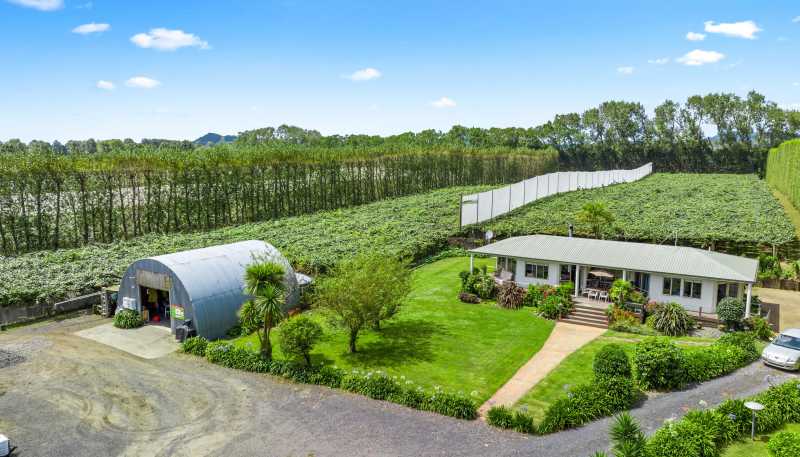 9653 State Highway 2, Waihi