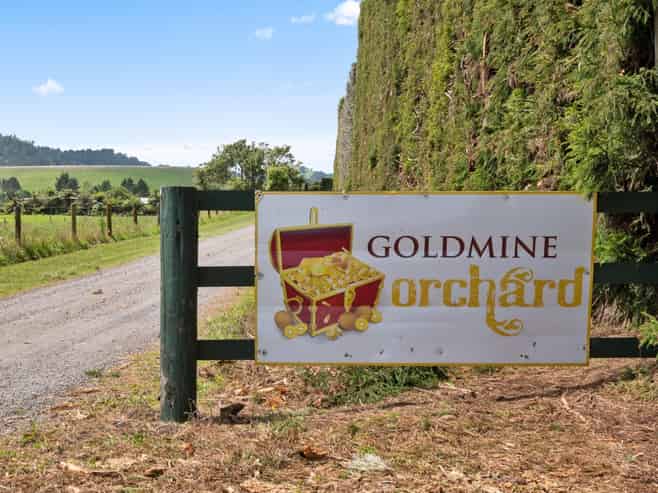 9653 State Highway 2, Waihi
