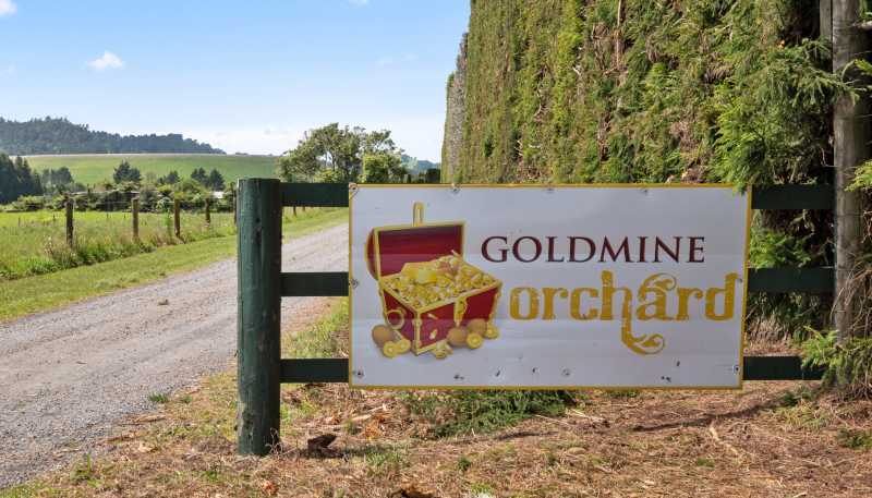 9653 State Highway 2, Waihi
