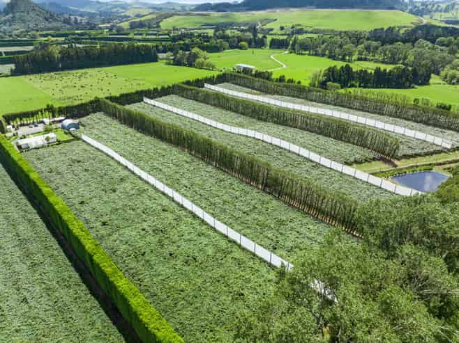 9653 State Highway 2, Waihi
