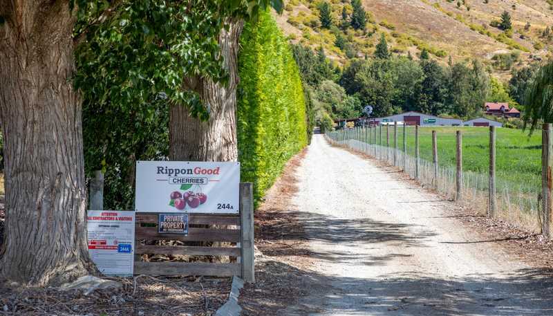 244A Ripponvale Road, Cromwell
