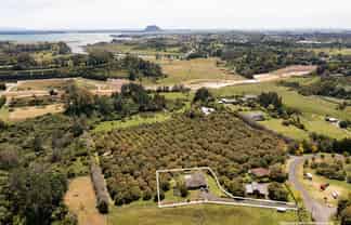 84 Oliver Road, Te Puna