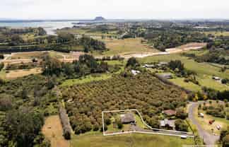  84 Oliver Road, Te Puna