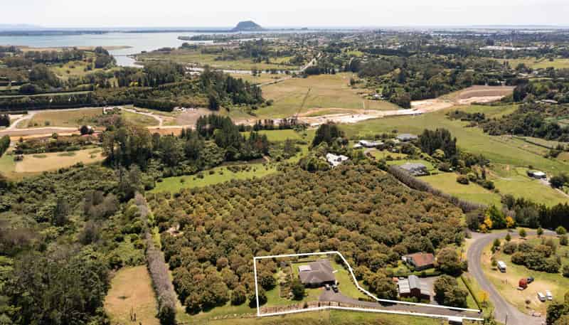  84 Oliver Road, Te Puna