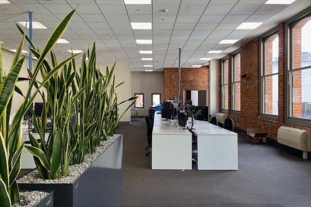 Ground Floor Professional Offices 280 m² - Vista 4