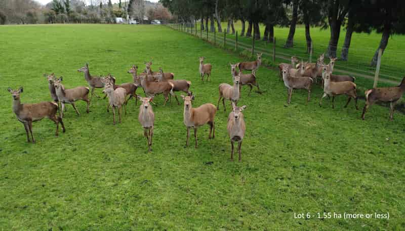 Lot 6 Tarukenga Road, Ngongotaha Valley