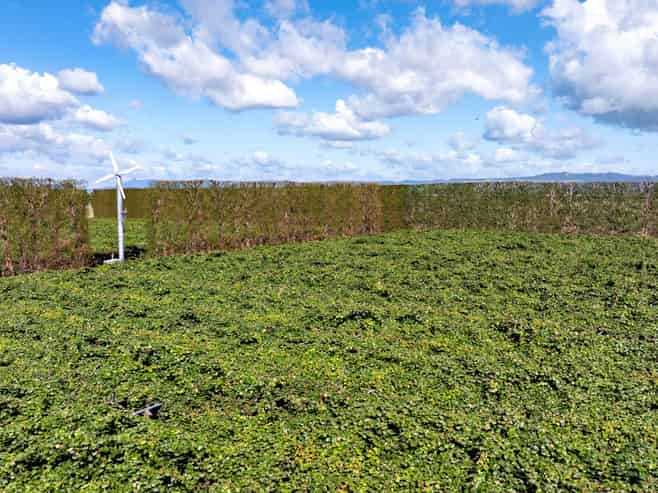469 Western Drain Road, Edgecumbe