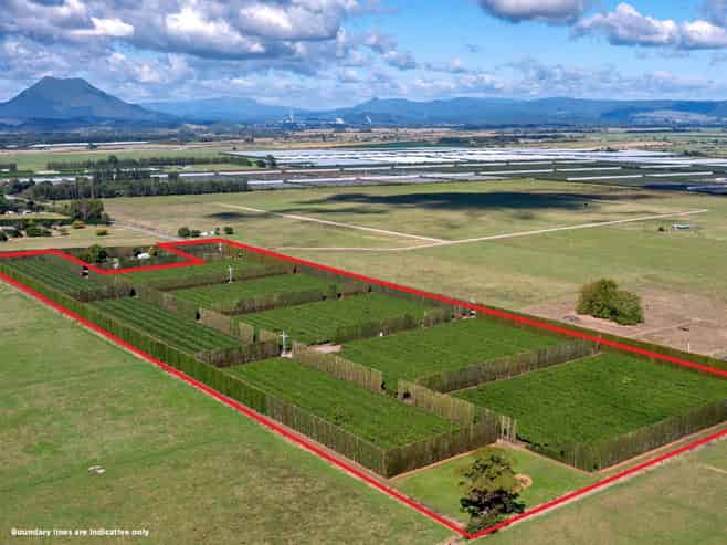 469 Western Drain Road, Edgecumbe