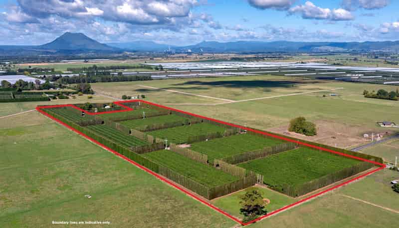 469 Western Drain Road, Edgecumbe