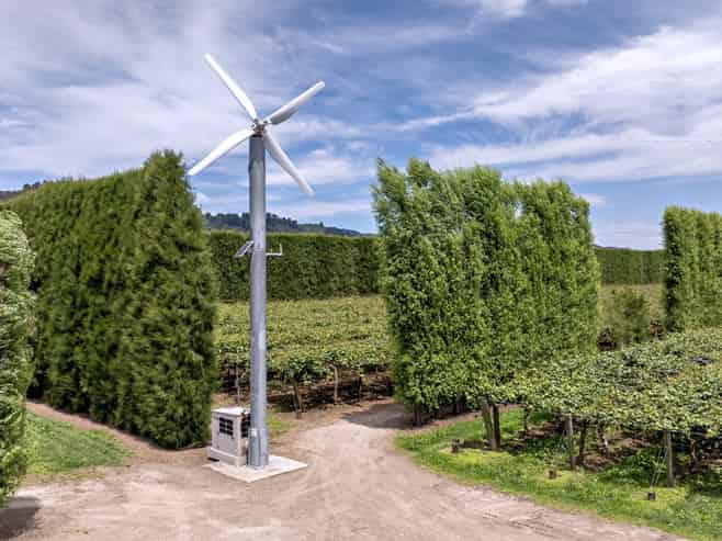 469 Western Drain Road, Edgecumbe