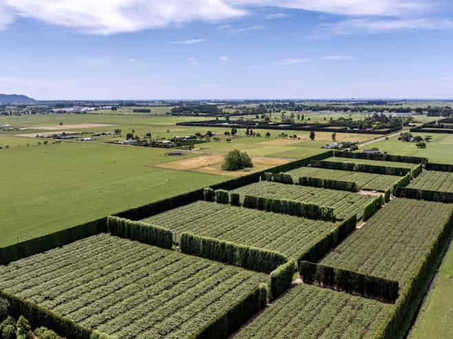 469 Western Drain Road, Edgecumbe