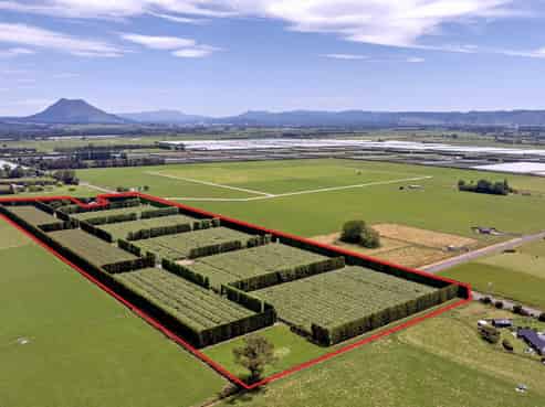 469 Western Drain Road, Edgecumbe