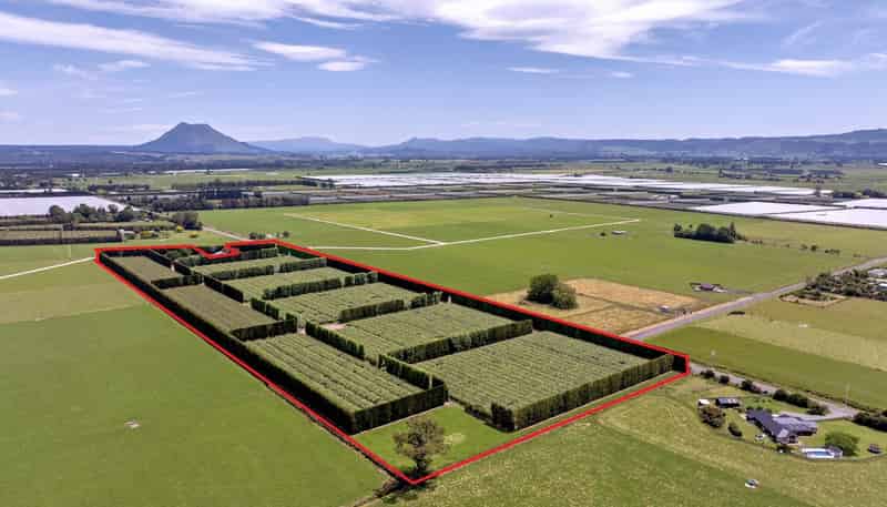 469 Western Drain Road, Edgecumbe