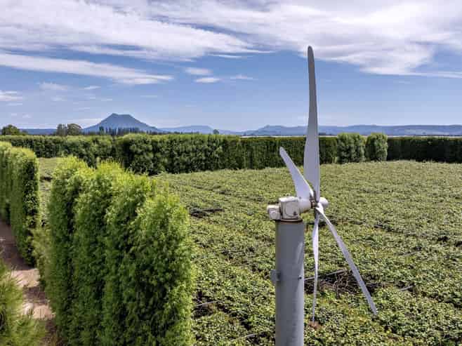 469 Western Drain Road, Edgecumbe