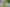 1246 Fergusson Drive, Brown Owl
