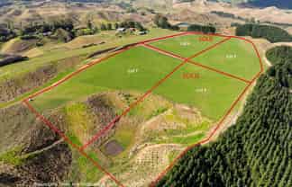  Airstrip Road, Pikowai