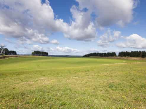  Airstrip Road, Pikowai
