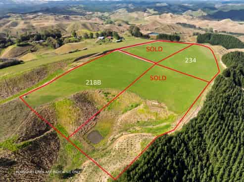  Airstrip Road, Pikowai