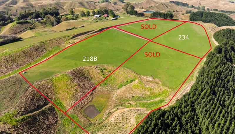  Airstrip Road, Pikowai