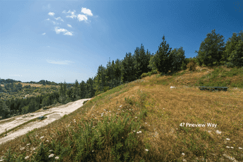 45 and 47 Pineview Way, Motueka