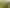 1228 Camerons Line, Aorangi