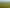 1228 Camerons Line, Aorangi