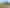 1228 Camerons Line, Aorangi